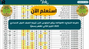 «فرحة النجاح» natigatk برقم الجلوس الآن نتيجة الصف الأول الإعدادي 2025 الترم الثاني تظهر رسميًا